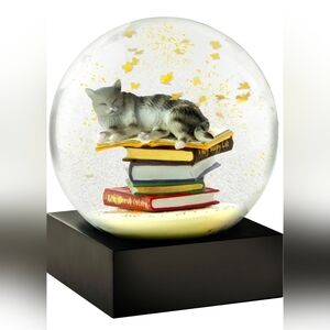 NIB Cool Snow Globes Cat on Books Snowglobe